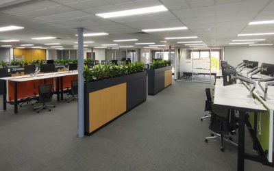 DESIGNING THE “SOCIALLY DISTANCED” OFFICE